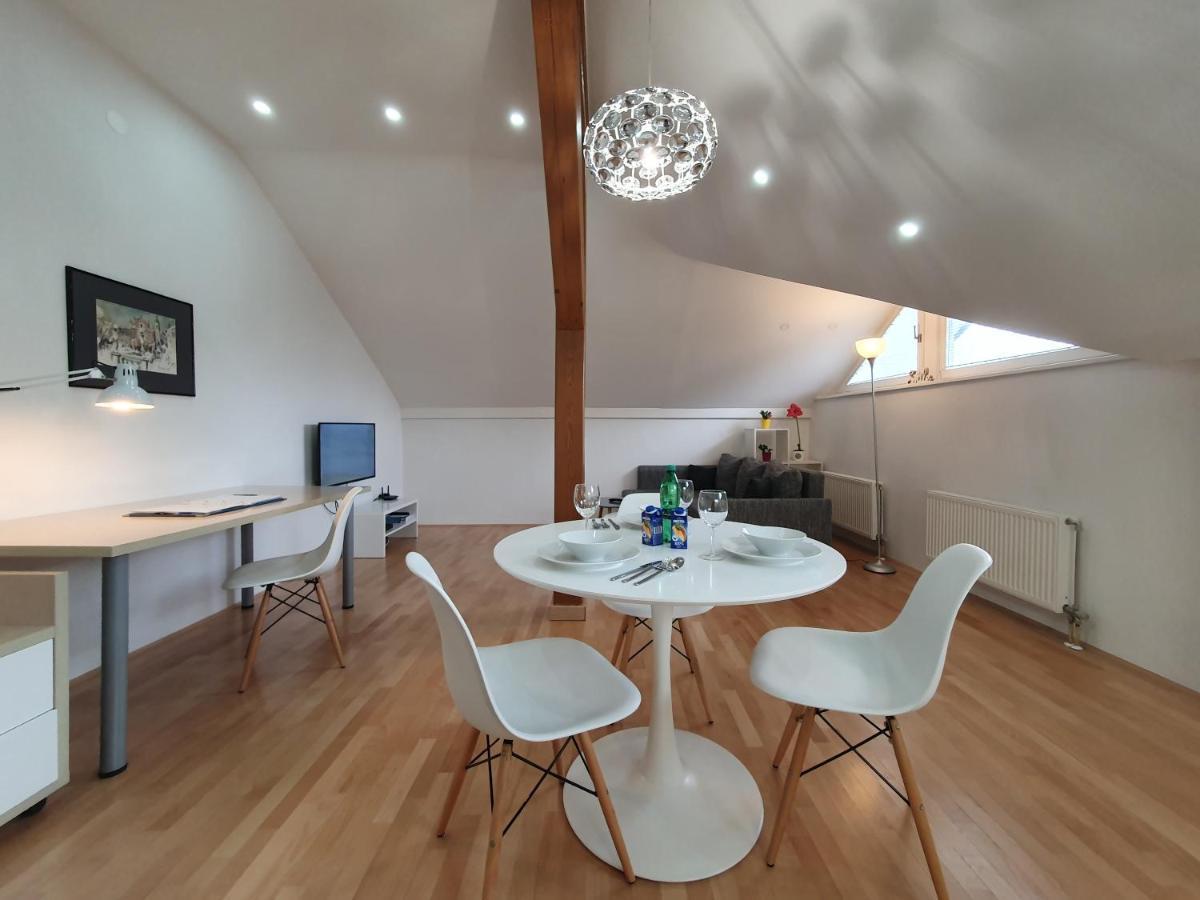 Charming Apartment Mila In Privat House With Free Parking Ljubljana Extérieur photo